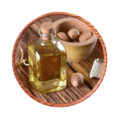 Trusted Ceylon Cinnamon Exporter | Organic Spices Sri Lanka - JAPC